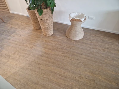 20230131_122625_resized