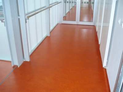 VFU Brno-Fakulta hygieny a ekologie_Marmoleum_2