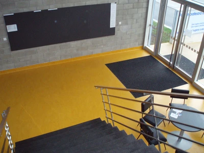 VFU Brno-Fakulta hygieny a ekologie_Marmoleum_4