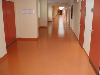 VFU Brno-Klinika chorob malých zvířat_Marmoleum_2