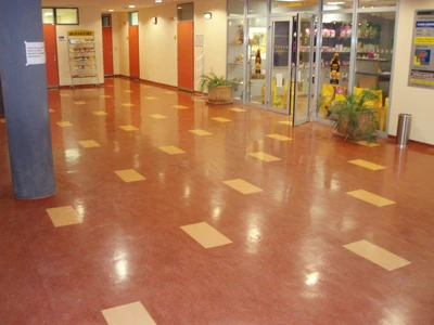 VFU Brno-Klinika chorob malých zvířat_Marmoleum_3