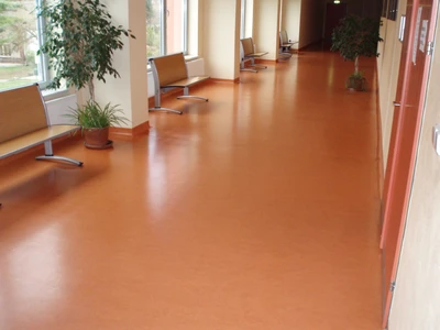 VFU Brno-Klinika chorob malých zvířat_Marmoleum