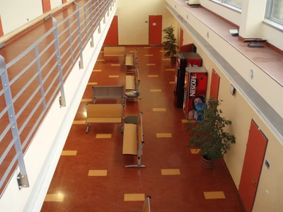 VFU Brno-Klinika chorob malých zvířat_Marmoleum_4