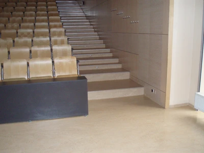 VFU-Posluchárna_Marmoleum